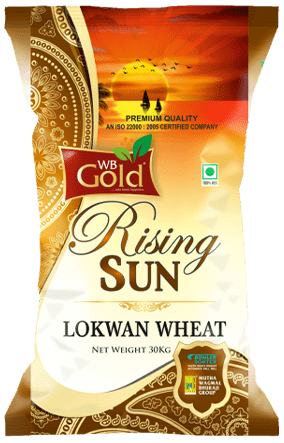 WB Gold Rising Sun Lokwan Wheat